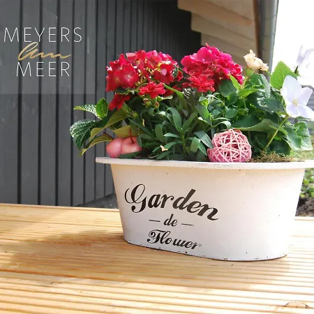 Schwarzes Holzferienhaus Mit Sauna -- L I E B L I N G S P L A T Z -- An Der Ostsee, Bei Wismar, 500m, Alles Inklusive Ferienhaus *